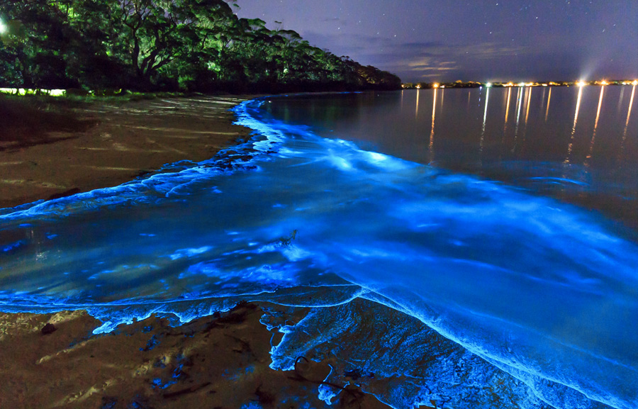 Ваадху, Мальдивские острова
В водах вблизи острова обитают одноклеточные динофлагелляты. Механические силы волн вызывают у них электроимпульс, запускающий биолюминесцентную реакцию, в результате которой в темное время вода испускает голубоватый свет.