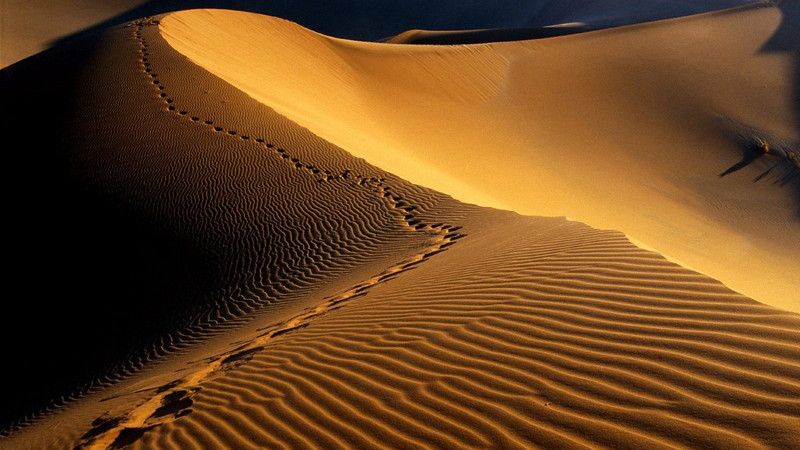 Пустыня Намиб
Намибия
Вот, где снимались основные сцены недавнего хита «Безумный Макс: Дорога ярости». Океан когда-то покрывал этот ныне засушливый, неумолимый ландшафт пустыни на юго-западе Африки. Песок, дюны и скалы — идеальный антураж для любого постапокалиптичного фильма. Поэтому сюда и стекается множество туристов, желающих лично прикоснуться к истории. Несмотря на мрачноватую атмосферу, здесь предпочитают тренироваться сэндбордеры, для которых высокие дюны — дом родной. 