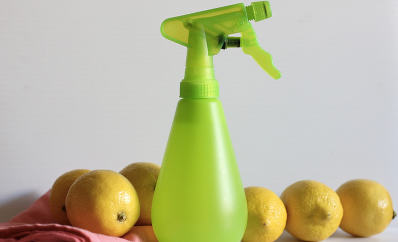 Универсальный очиститель
В сочетании с некоторыми другими компонентами, лимон можно превратить в универсальный очиститель для дома. Для этого понадобится 2 чашки теплой воды, 1 столовая ложка соды, 1/2 стакана уксуса, сок одного лимона и 5-10 капель эфирного масла лимона. В миске необходимо смешать до полного растворения пищевую соду и воду. Добавить оставшиеся ингредиенты, перемешать и перелить жидкость в распылитель. Перед каждым использованием очиститель рекомендуется встряхивать. Средство эффективно работает против пятен от воды на кранах и налета на плитке.