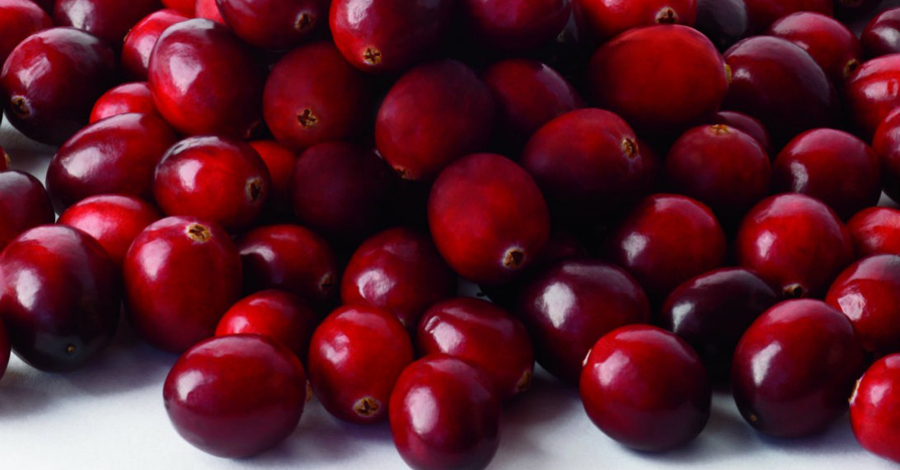 Клюква
Эти красные, терпкие на вкус ягоды содержат высокое содержание проантоцианидина, который снижает количество вредных бактерий в организме. Кроме того, они же гарантируют здоровье ротовой полости, предотвращая заболевания десен.