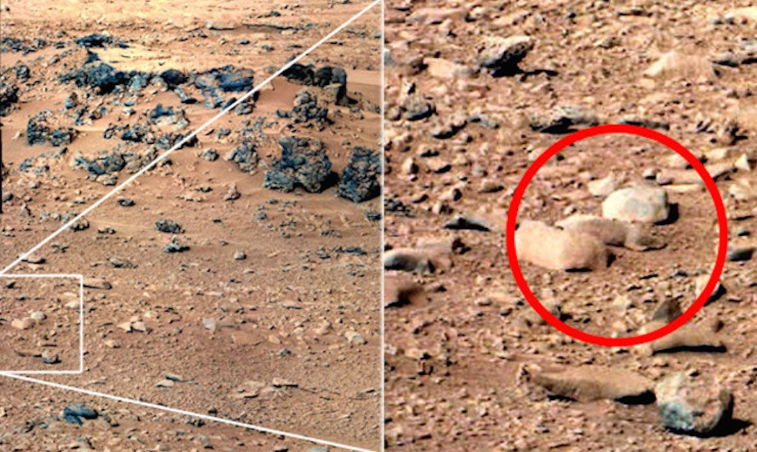 Крысы в космосе
Еще один всплеск интереса к фотографиям с Марса возник в 2003 году. Curiosity передал серию снимков, на одном из которых энтузиасты заметили крысу. Надо ли говорить, что при ближайшем рассмотрении, крыса оказалась обычным камнем.