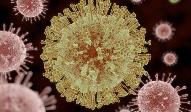 Кто открыл
Вообще, сам вирус был открыт еще в далеком 1947 году — ученые выявили его у макак-резусов леса Зика, расположенного в Уганде. Лишь в 2007 (кто-то еще хочет его вернуть?) вирус вызывал несколько очагов заражения в Микронезии. Как и многие другие вирусы, пришедшие к человеку из тропиков, этот переносится комарами. Ученые зафиксировали и несколько случаев передачи вируса Зика половым путем — но это, скорее, исключение из правил.