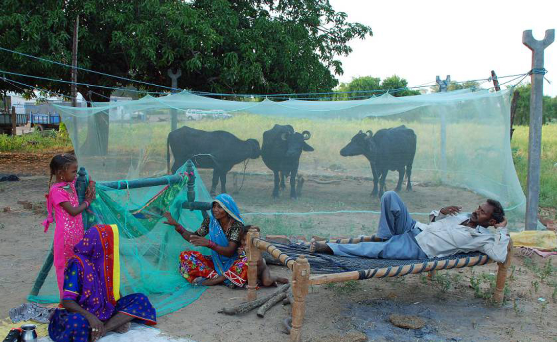 Фермер защищает свою семью и животных от москитов в Гуджарат, Индия.