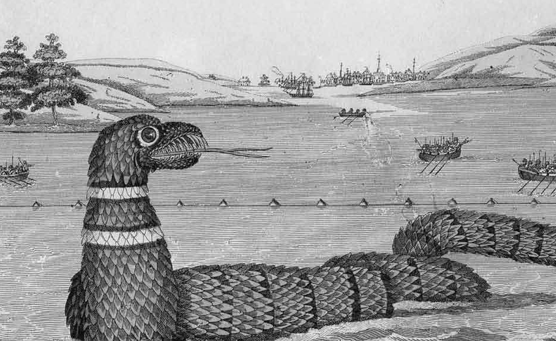 Глостерский змей
Морской змей был замечен в гавани Глостер, штат Массачусетс. Первые свидетельства датированы 1638 годом, а чаще всего змей показывался в 1819 году — его видели сотни людей.