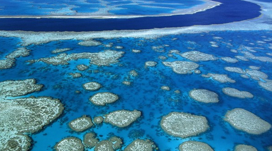 Большой Барьерный риф
Дайверы со всего мира приезжают сюда, чтобы исследовать крупнейший в мире коралловый риф. Тревогу забили только в последние несколько лет: оказалось, что туристы буквально уничтожают это чудо природы. Эндемичные для Большого Барьерного рифа создания понемногу вымирают, вода загрязняется и совсем скоро (по данным Межправительственной группы экспертов по климатическому контролю), на месте Большого Барьерного рифа останутся только красочные фотографии.