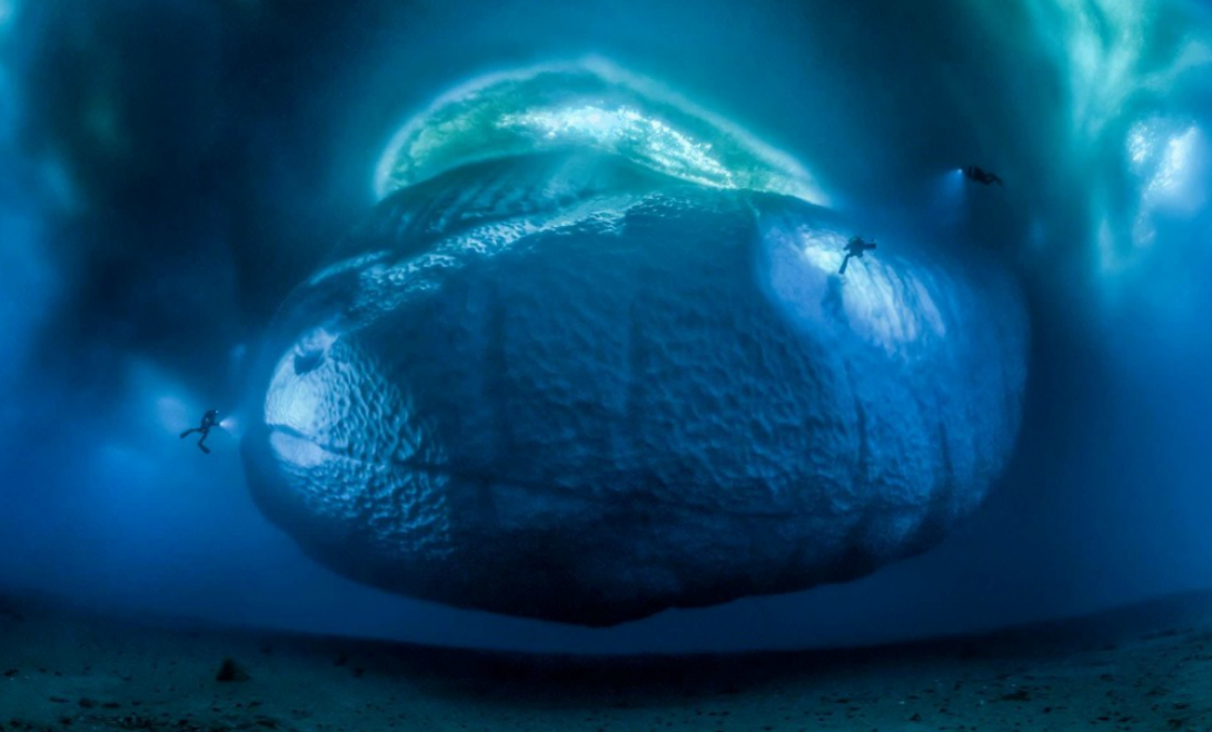 Ледяной монстр
Вот так выглядит подводная часть айсберга. И в самом деле, настоящий монстр! Фотография Лорана Баллеста победила в категории «Окружающая среда».