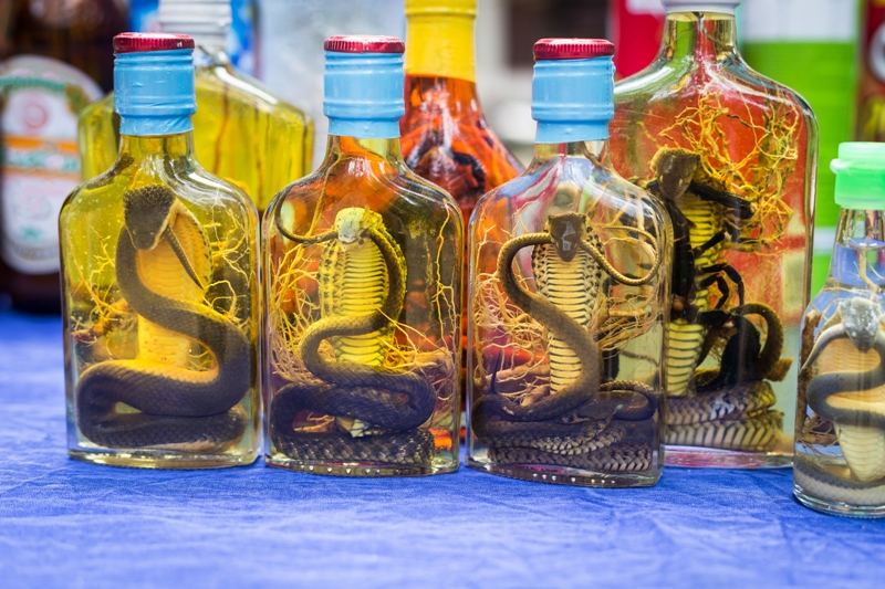 Вино из змеи
Китай
В Поднебесной считается, что спиртные напитки, настоянные на ядовитых змеях, обладают чудесными лечебными свойствами. Обычно на кобрах настаивают рисовую водку: этанол денатурирует змеиный яд, так что пить такое совсем не опасно. Но мерзко.